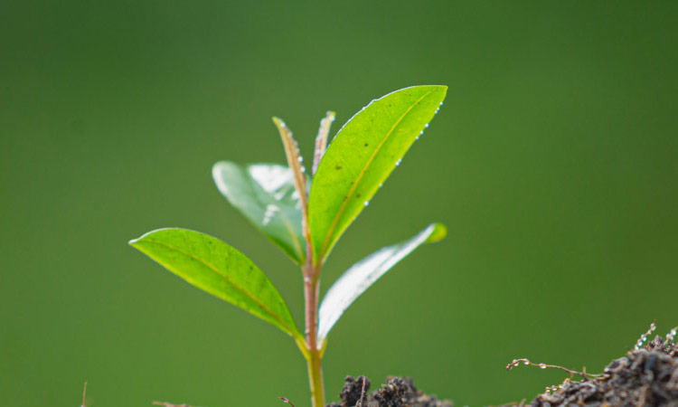 新聞動(dòng)態(tài)